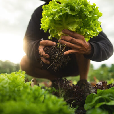 Launch of the CEN Workshop ‘Food loss quantification in primary production’